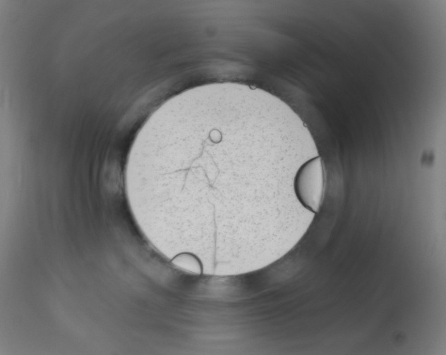 X0000113000622200910081159