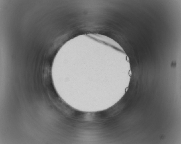 X0000113000623200910081159