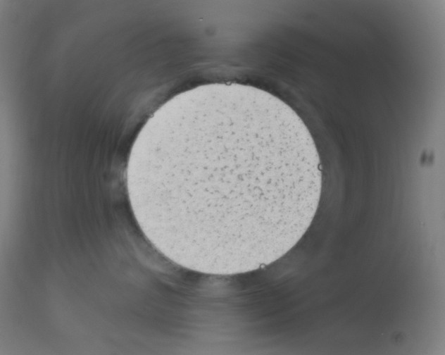 X0000113000624200910081159