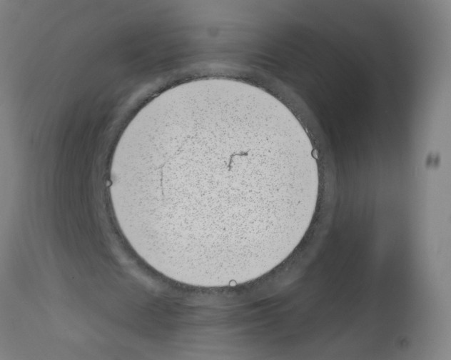 X0000113000625200910081158