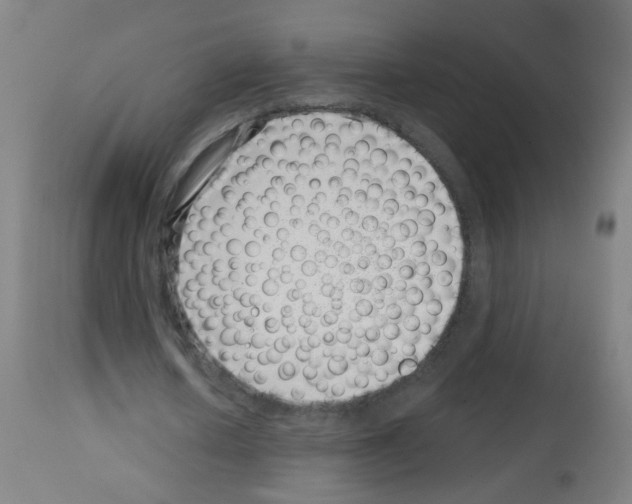 X0000113000626200910081158