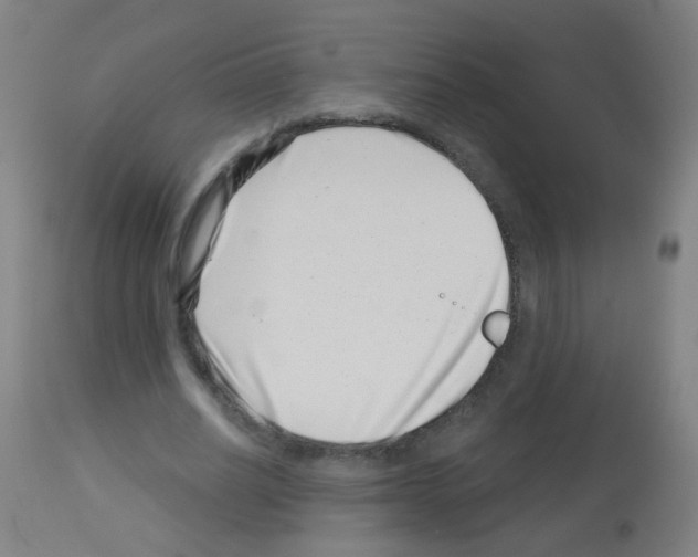 X0000113000630200910081158