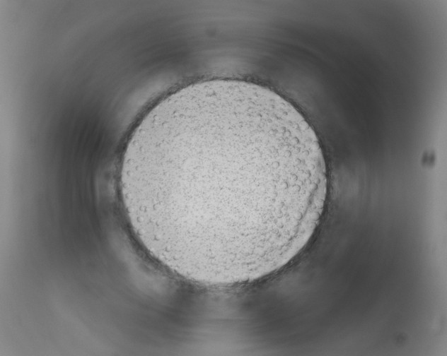 X0000113000632200910081158