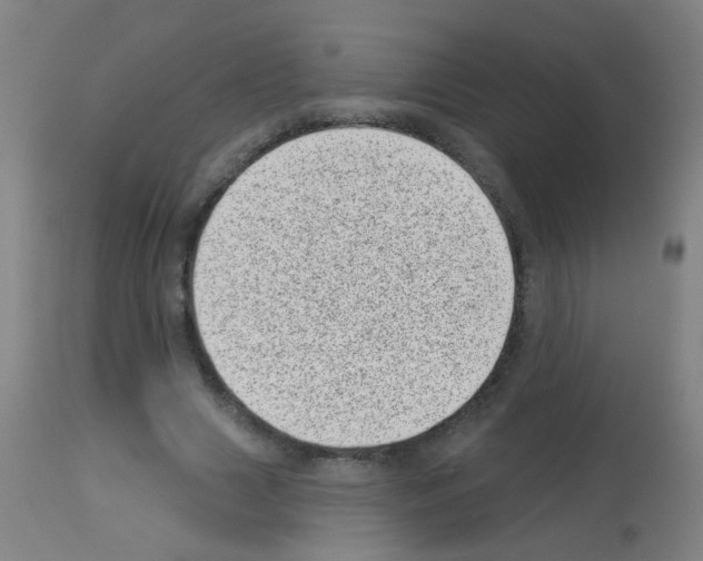 X0000113000633200910081158