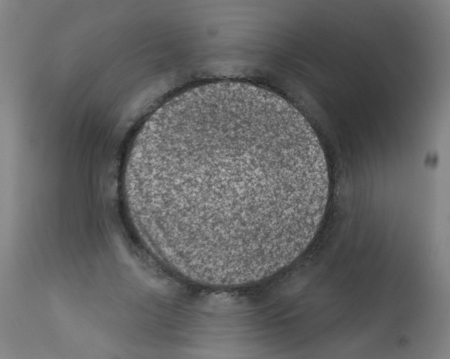 X0000113000635200910081159