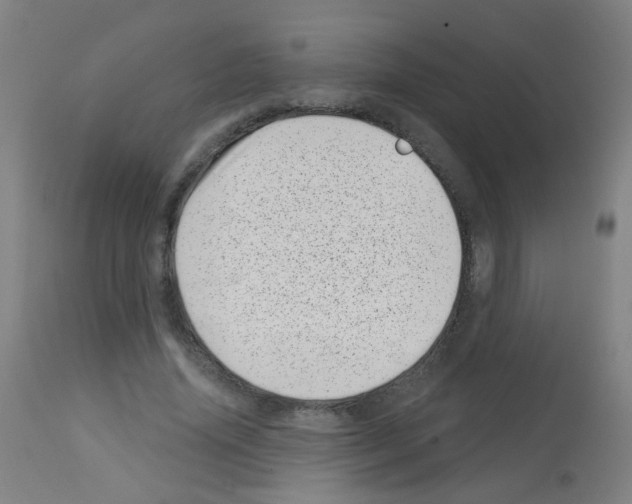 X0000113000636200910081159