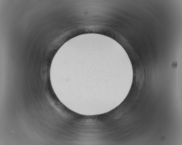 X0000113000637200910081159