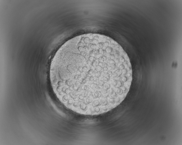 X0000113000638200910081159