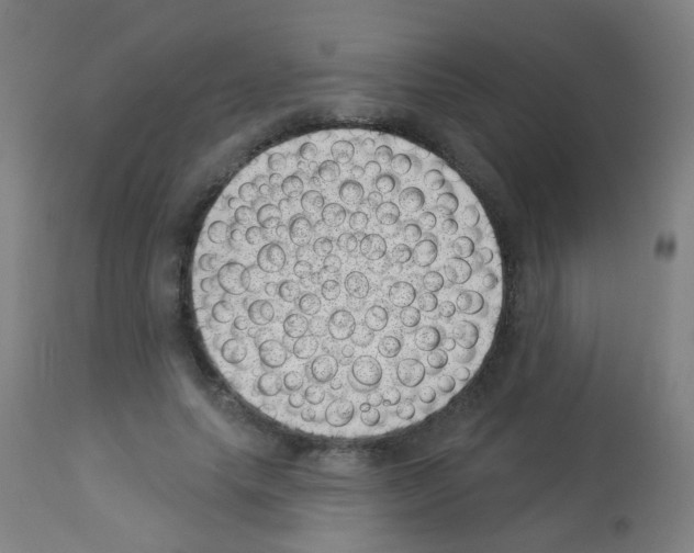 X0000113000639200910081159