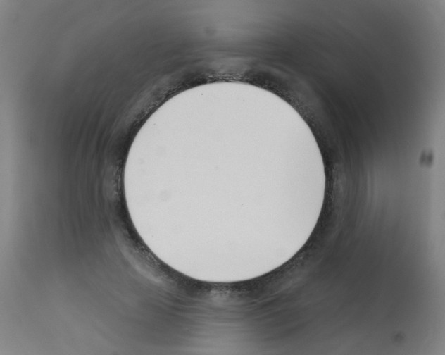 X0000113000641200910081159