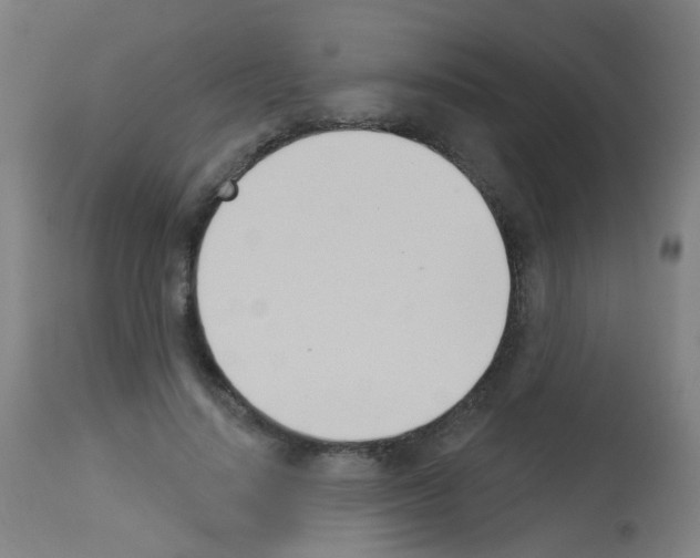 X0000113000644200910081159