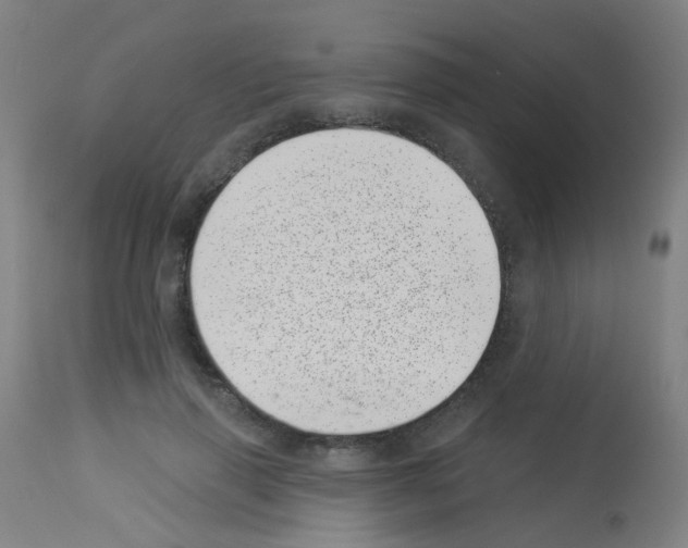 X0000113000645200910081159