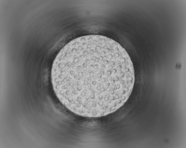 X0000113000646200910081159