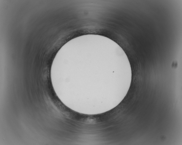 X0000113000647200910081159