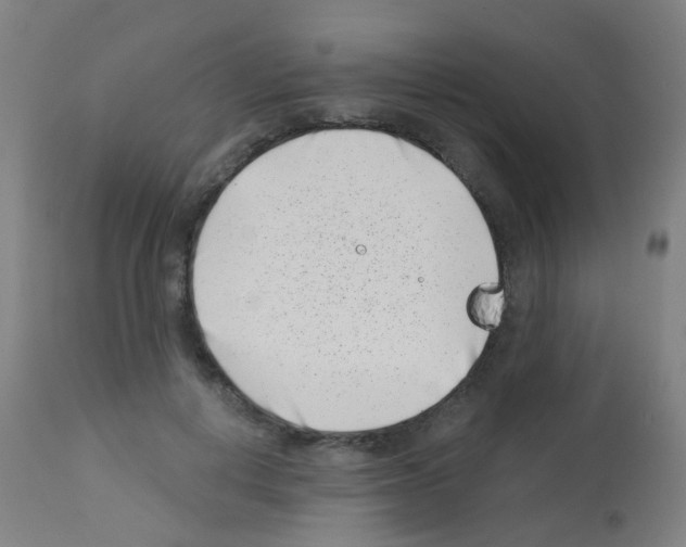 X0000113000648200910081159