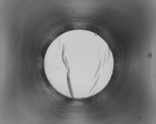 X0000113000649200910081159