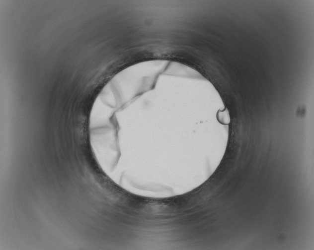 X0000113000650200910081159