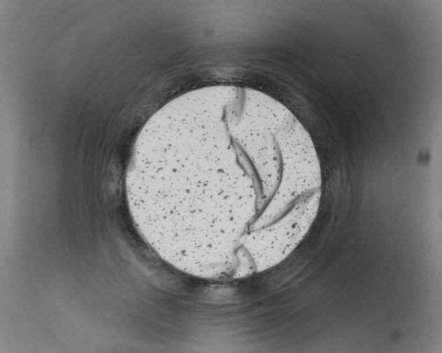 X0000113000651200910081159