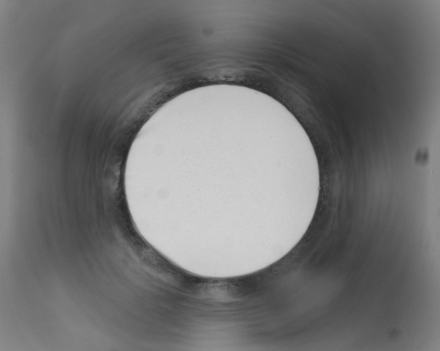 X0000113000652200910081159