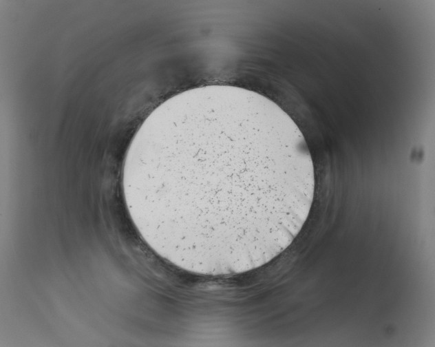 X0000113000655200910081159