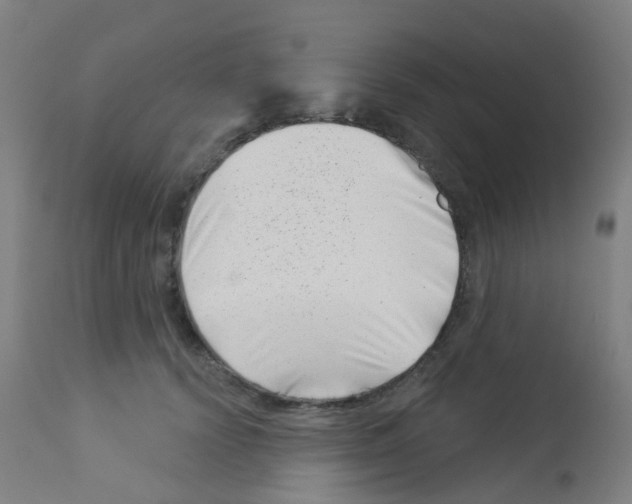 X0000113000656200910081159