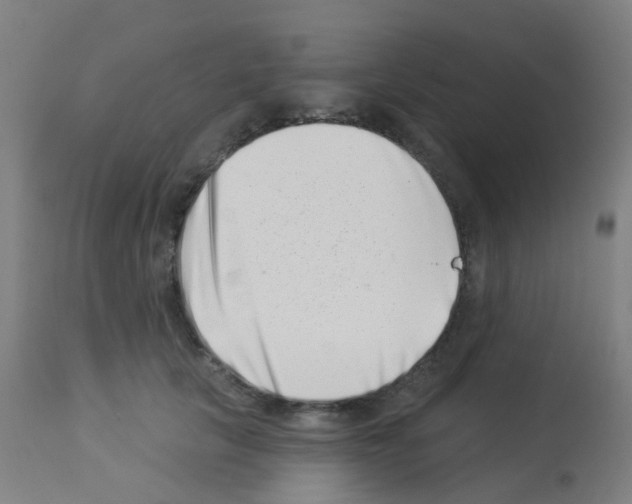 X0000113000657200910081159