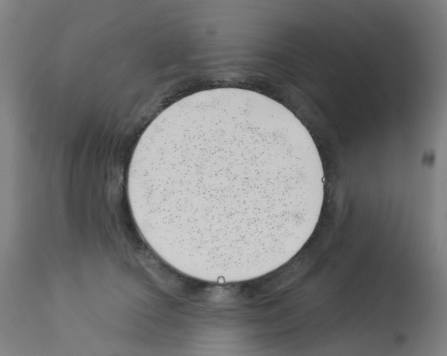 X0000113000660200910081159