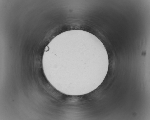 X0000113000661200910081159