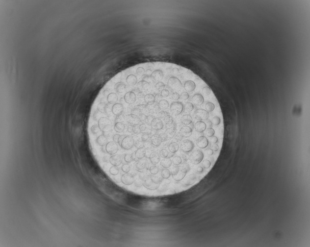 X0000113000662200910081159