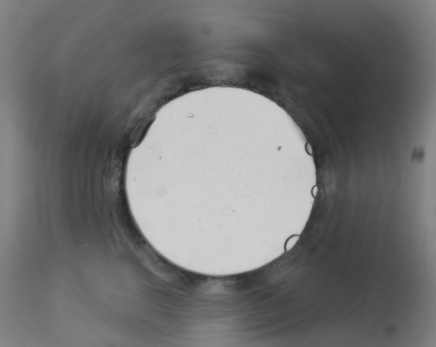 X0000113000664200910081159