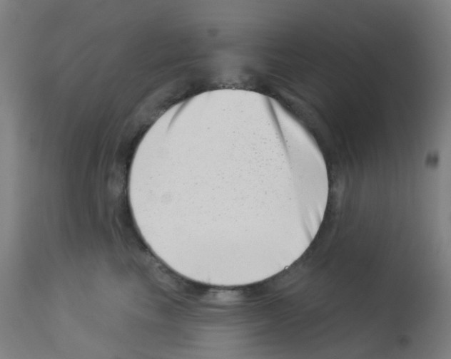 X0000113000665200910081159