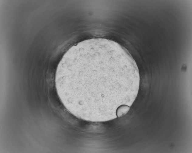 X0000113000666200910081159