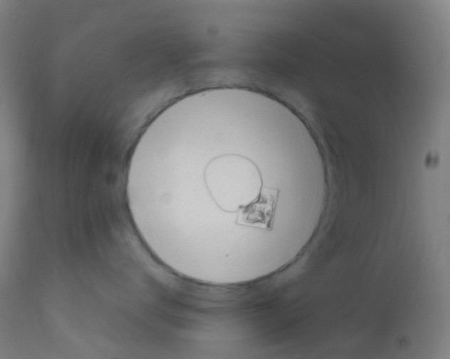 X0000113000672200910081159