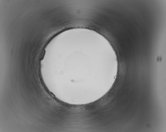 X0000113000673200910081158