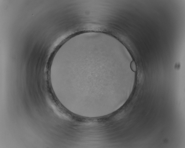 X0000113000674200910081158