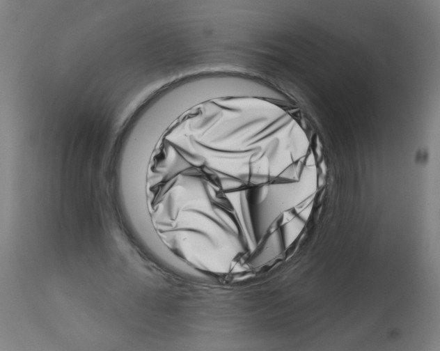 X0000113000676200910081158