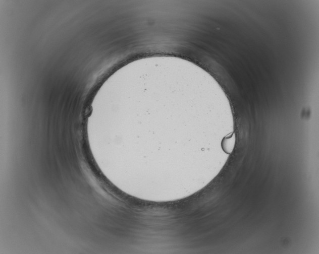 X0000113000677200910081158