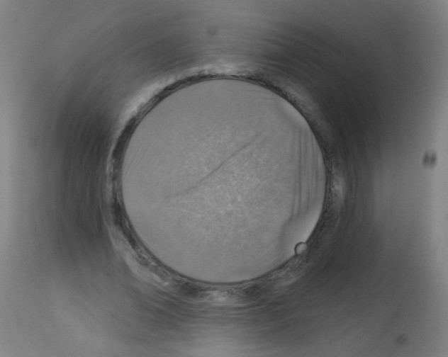 X0000113000678200910081158