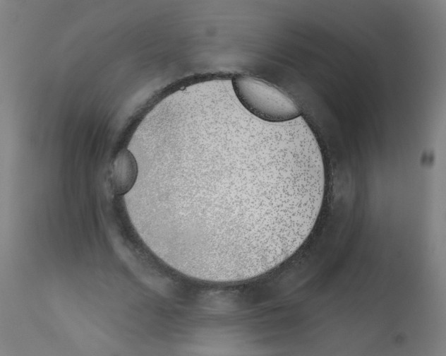 X0000113000680200910081158