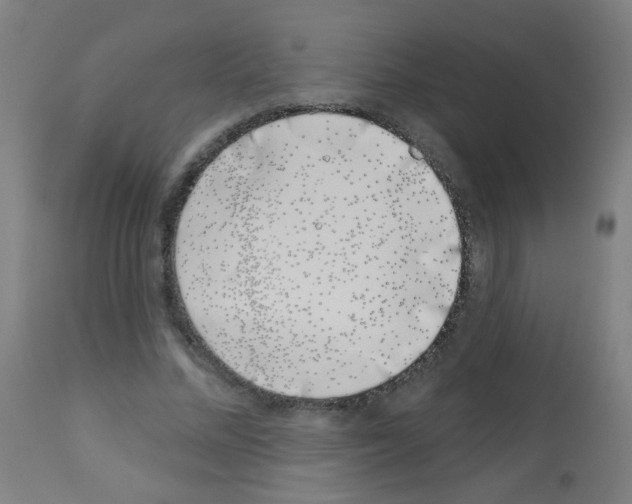 X0000113000684200910081158