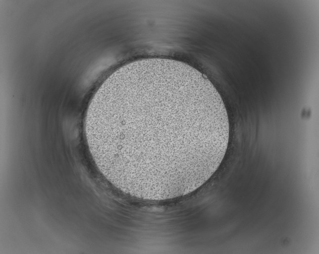 X0000113000687200910081158