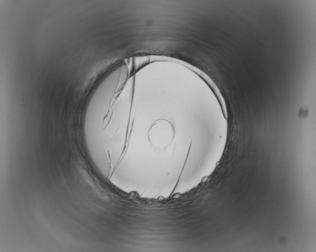 X0000113000688200910081158