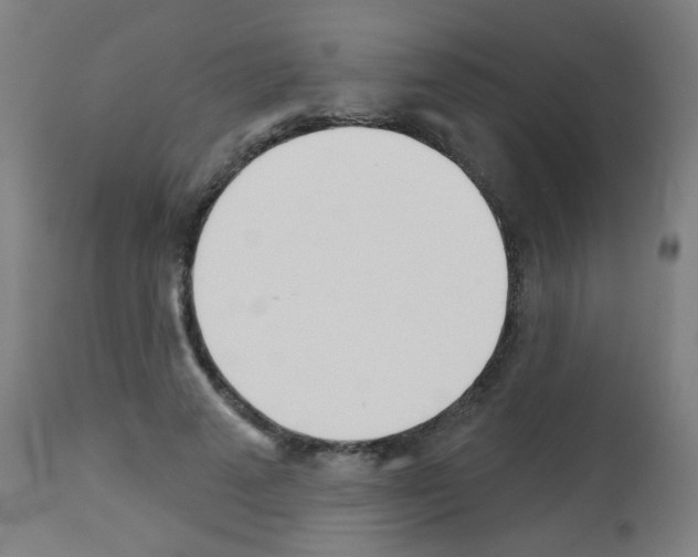 X0000113000689200910081158