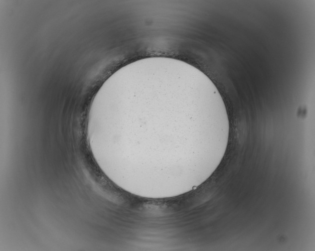 X0000113000690200910081158