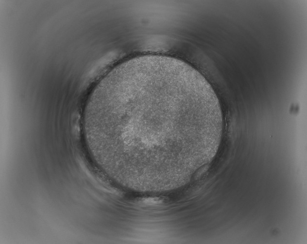 X0000113000692200910081158