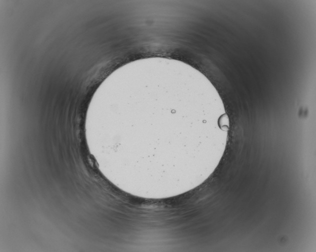 X0000113000693200910081158