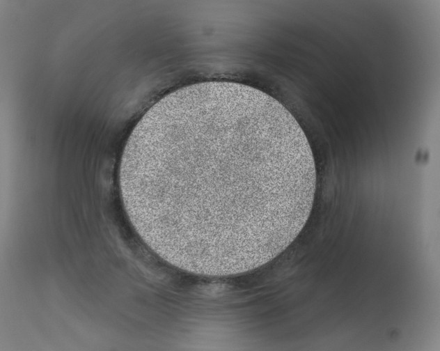 X0000113000695200910081158