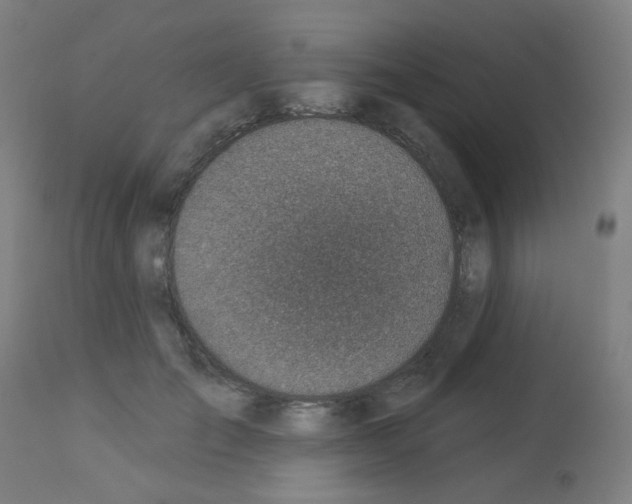 X0000113000701200910081158