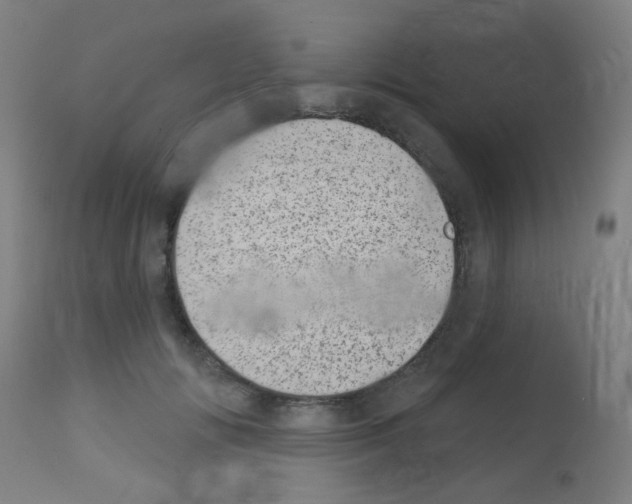 X0000113000702200910081158