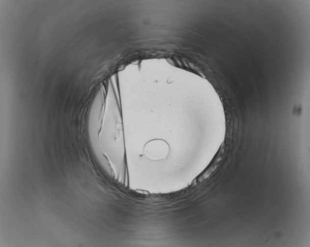 X0000113000704200910081158